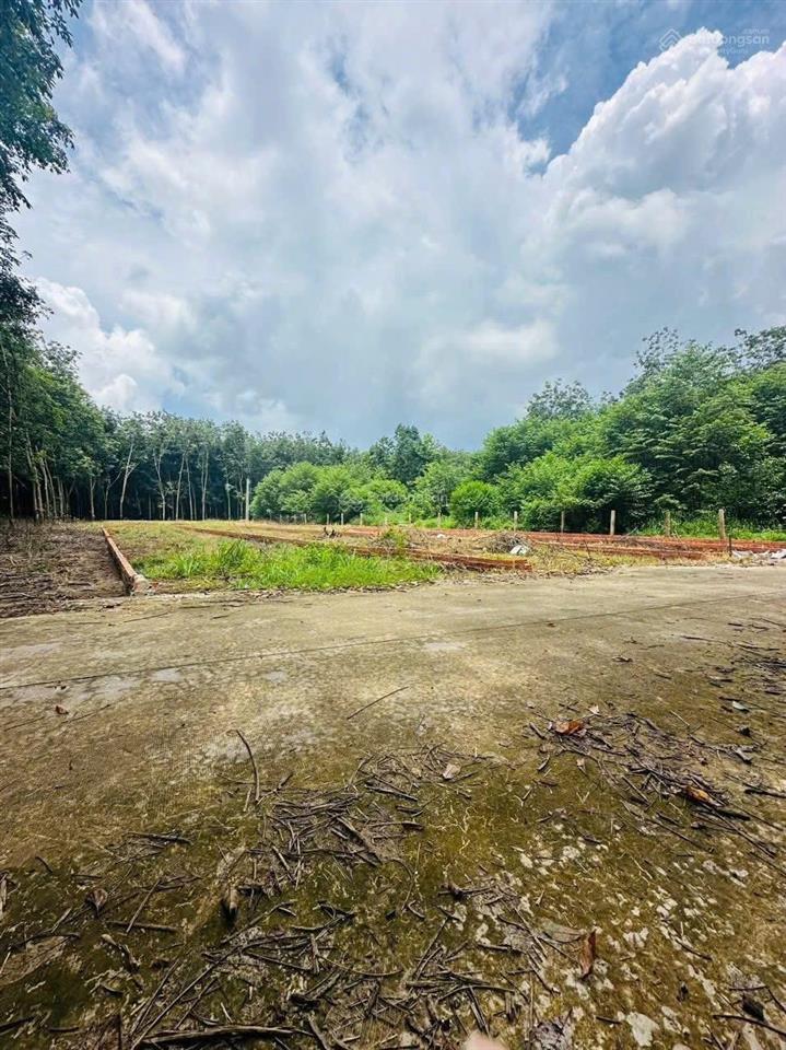 Chính chủ bán 2 lô liền kề đường ấp 30/4 số 28,dt 5x33m có 100tc,ngay trung tâm xã,hỗ trợ bank