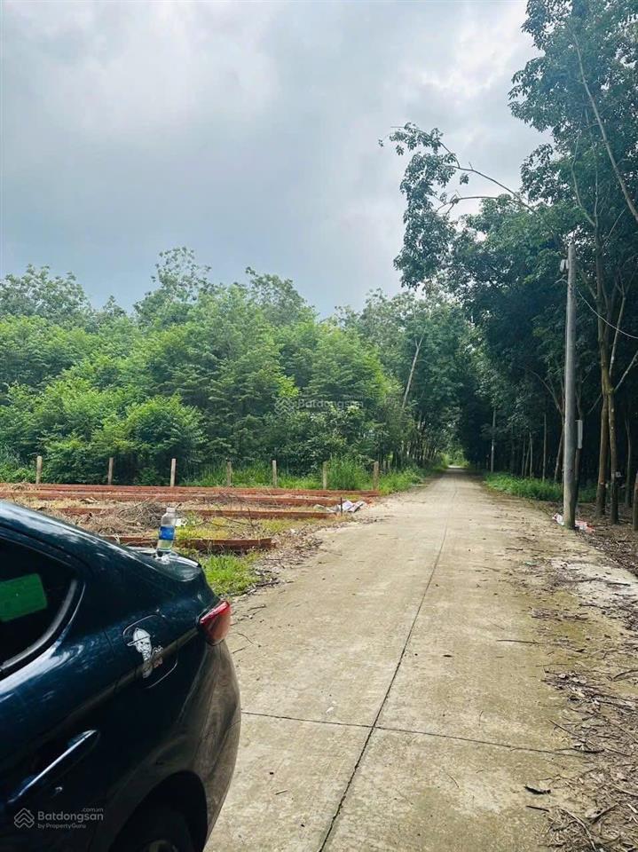 Chính chủ bán 2 lô liền kề đường ấp 30/4 số 28,dt 5x33m có 100tc,ngay trung tâm xã,hỗ trợ bank