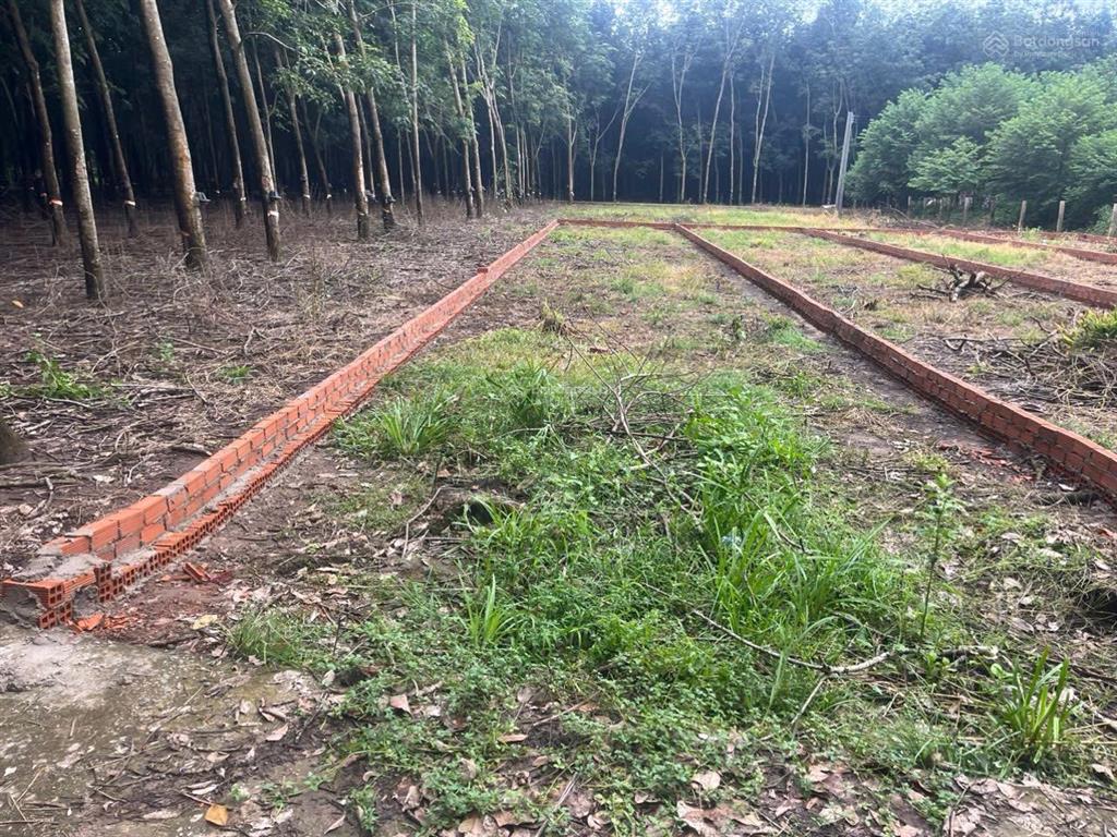 Chính chủ bán 2 lô liền kề đường ấp 30/4 số 28,dt 5x33m có 100tc,ngay trung tâm xã,hỗ trợ bank