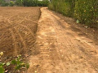 Bán đất 132.8m2 tại đường 765, xã bảo bình, cẩm mỹ, đồng nai, chỉ với 530 triệu