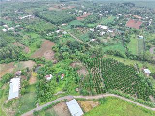 3200m² đất vườn có 200m² thổ cư view suối + hồ cá trồng sẵn 100 cây mít giá mềm 1,2 triệu/m²