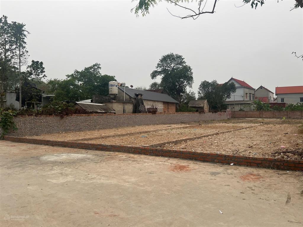 Bán 100m2 đất trung tâm xã minh trí cạnh kcn sạch khuôn thửa vip diện tích 100m 100% thổ cư mt 5m