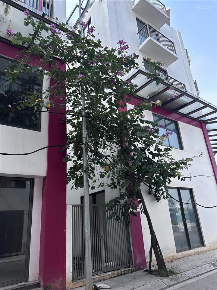 Bán 5 căn 93.2m2 130m2 giá 27 tỷ 110m. cần bán gấp giá cực tốt lô góc cần thanh khoản nhanh