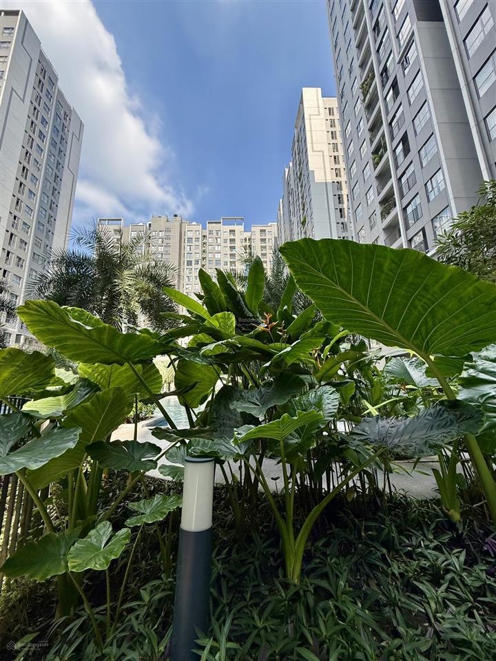 Chính chủ cần bán căn 59m2, nhà có nội thất. chỉ 2,650 tỷ.  0909 086 ***