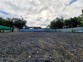 Bán cn 1000m2 đường xe tải, đất trồng cây lâu năm tại phú xuân  nhà bè