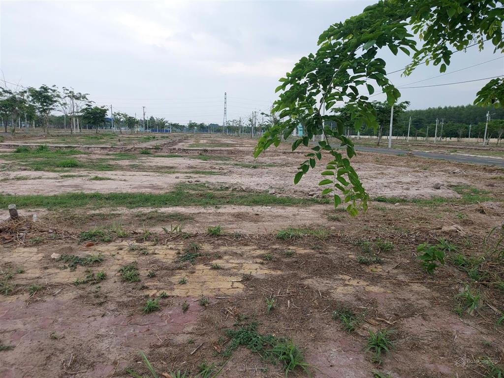 Bán lô đất sổ hồng thành phố hồ chí minh 105 m2 giá bán 1.15 tỷ