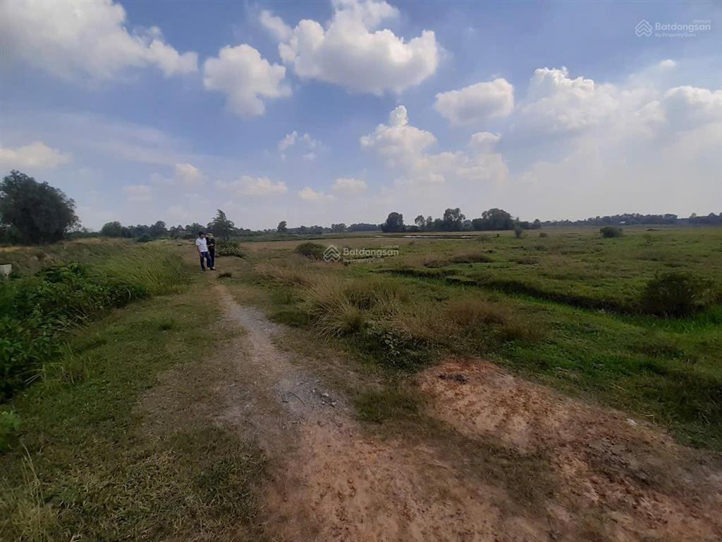 Kẹt tiền! bán đất đường bờ kênh  kênh quyết thắng, xã trung lập thượng, củ chi 2650m2, giá 3.3 tỷ