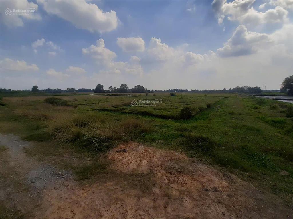 Kẹt tiền! bán đất đường bờ kênh  kênh quyết thắng, xã trung lập thượng, củ chi 2650m2, giá 3.3 tỷ