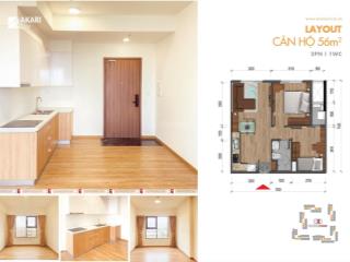 Chủ ngộp bán căn hộ akari city võ văn kiệt, 2pn view hồ bơi, giá đầu tư rẻ nhất khu vực chỉ 2.8 tỷ