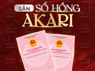 Bán căn hộ akari city võ văn kiệt, 2pn 2wc giai đoạn 2 sẵn sổ hồng, vay nh 80% lãi suất thấp