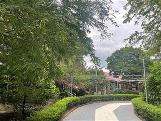 Bán nhà vườn mặt tiền đường lương ngang, tân nhựt, bình chánh