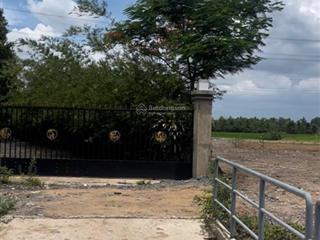 Bán đất đường kênh 7, tân nhựt, bình chánh. dt 7000m2.