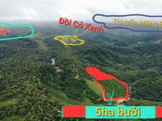 Chính chủ cần bán 5ha đất gần khu 37 hộ măng đen