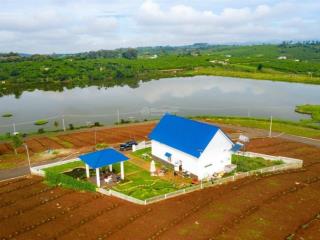 Biệt thự view hồ đường nhựa lớn tại lâm hà