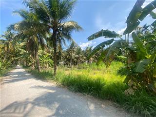 Bán gấp lô đất view sông tiền tân thới đông