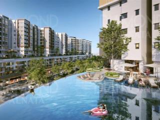 Căn hộ alnata  2 pn view hướng ra đại lộ, giá 6tỷ7 full nội thất