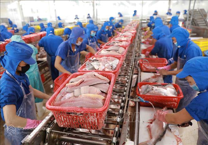 Bán nhà máy chế biến thuỷ hải sản tại tiền giang, đang hoạt động và đủ tiêu chuẩn xuất khẩu