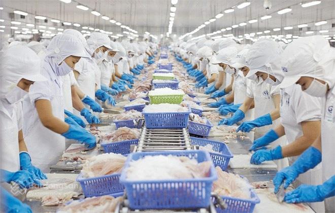 Bán nhà máy chế biến thuỷ hải sản tại bạc liêu, đang hoạt động và xuất khẩu hàng đi nhiều nước