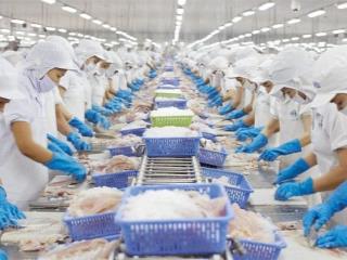 Bán nhà máy chế biến thuỷ hải sản tại bạc liêu, đang hoạt động và xuất khẩu hàng đi nhiều nước