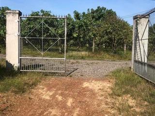 Bán 3.2ha đất vườn siêu đẹp ngay trang trại nuôi yến tại định quán, đồng nai
