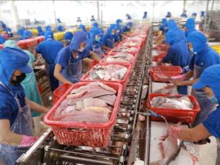 Bán nhà máy chế biến thuỷ hải sản tại tiền giang, đang hoạt động và đủ tiêu chuẩn xuất khẩu