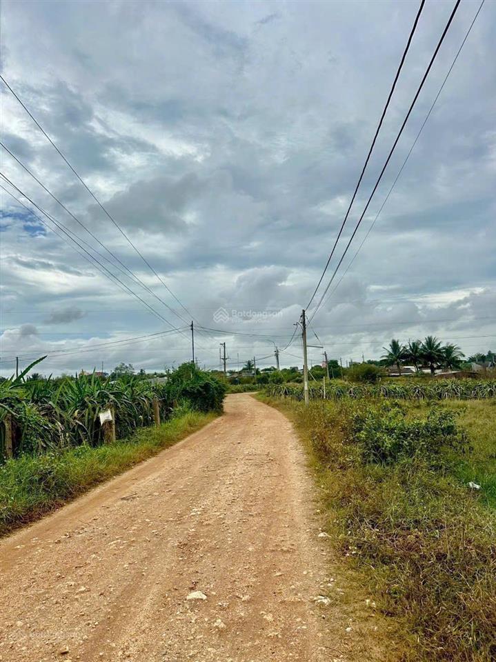 Chính chủ bán đất nằm trong thị trấn thuận nam hơn 1,4ha giá 3 tỷ cho ai nắm bắt cơ hội 0937 024 ***