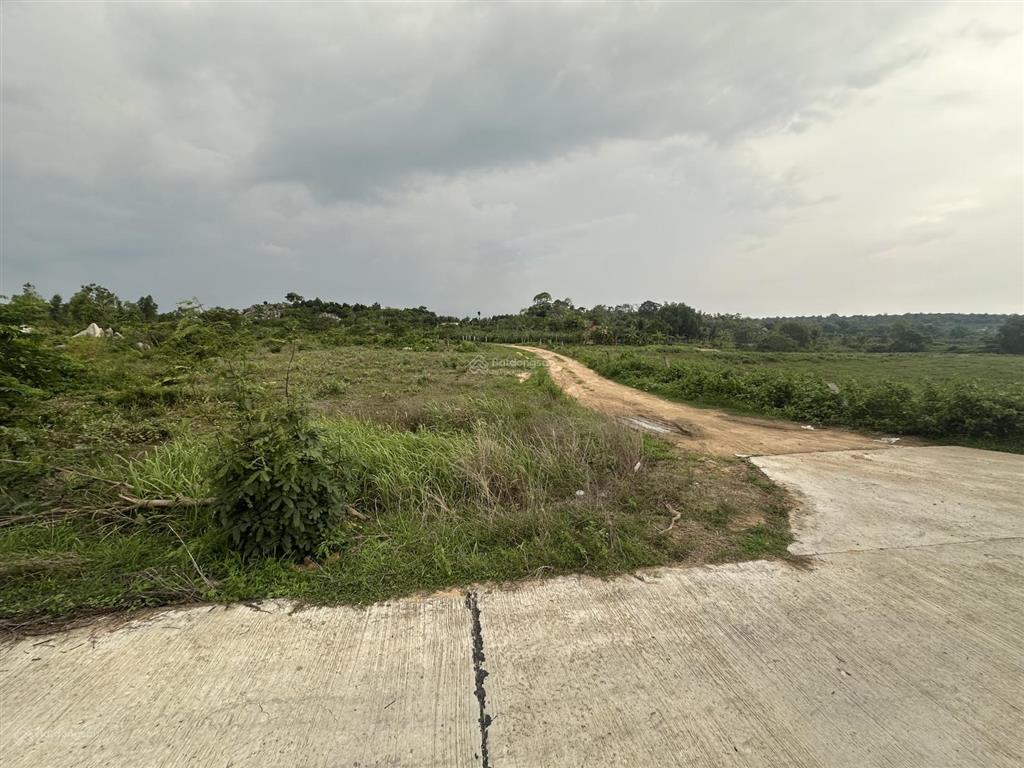 Bán đất liền kề thanh long bay bình thuận, sổ riêng 1050m2 đất vuông vức siêu đẹp giá 995 triệu