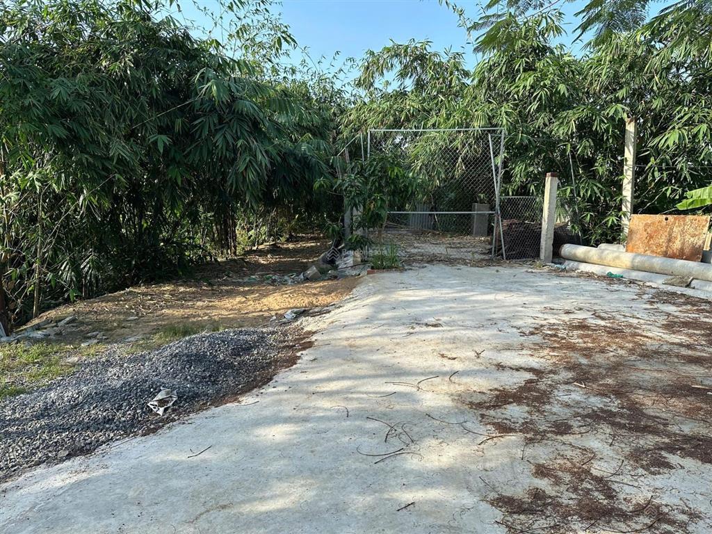 Đất vườn 2.000m2 mặt tiền tập đoàn liên doanh gần cao tốc bến lức long thành chỉ 3,5 triệu/m2
