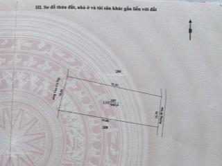 Cần bán đất lúa 940,4m2  giá 700 triệu  thuận mỹ, châu thành, long an