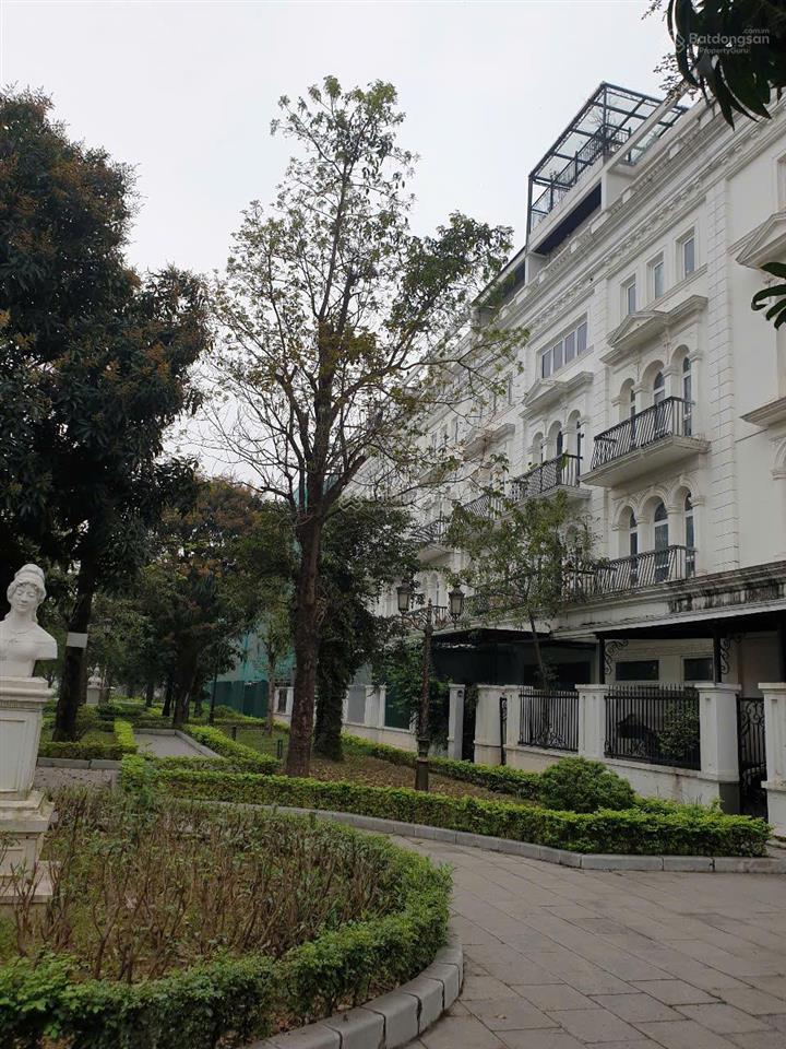 Cần bán lk 105m2 louis city đại mỗ vị trí vô cùng thoáng đẹp, hướng đn  mr dân