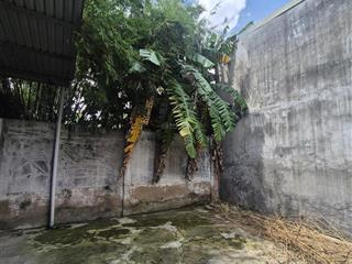 Bán nhà vĩnh phú 7, thuận an, bd (hcm) ngay cầu vĩnh bình 275m2.