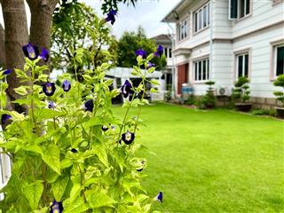 Top biệt thự vườn thủ đức garden homes hướng đông nam giá tốt  toantranvillas