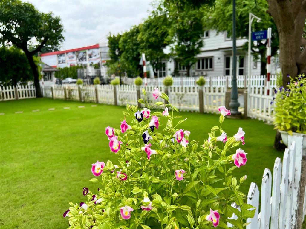 Cho thuê biệt thự hướng đông bắc, 3 phòng ngủ, sân vườn rộng giá chỉ 26 triệu  toan tran villas