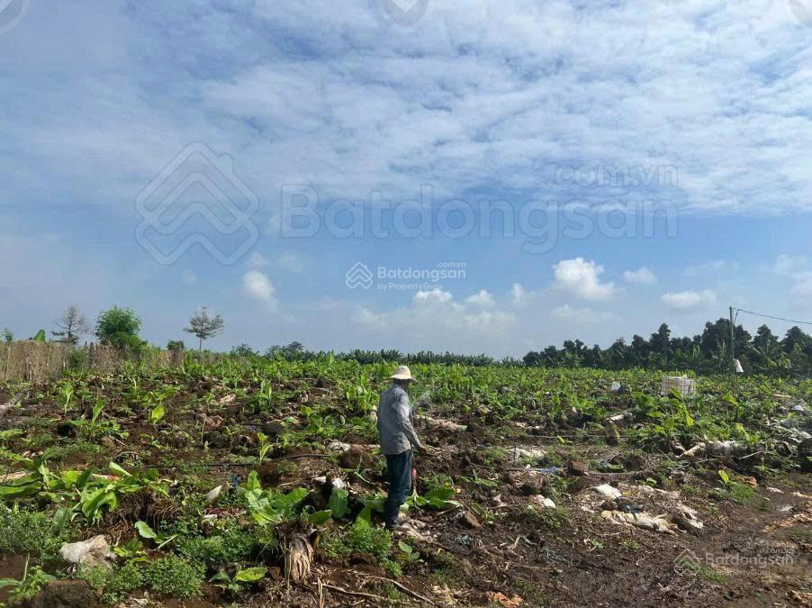 Chính chủ bán 7.560 m² đất cln bàu hàm, trảng bom có thương lượng cho khách thiện chí