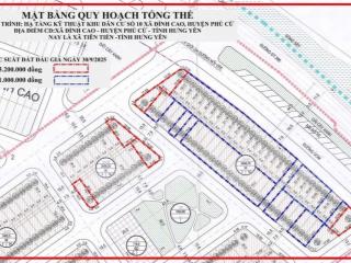 Chính chủ tôi cần bán 100m2 đấu giá khu 10, đình cao, phù cừ, hưng yên. mặt đường nhựa kinh doanh