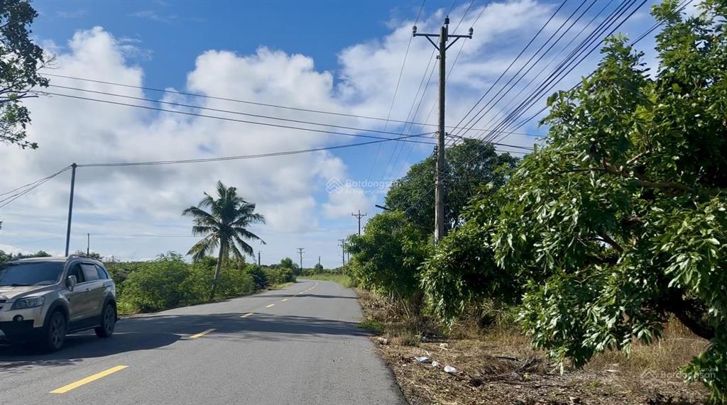 Đất 500m2 sẵn nhãn  làm nhà vườn hết sẩy