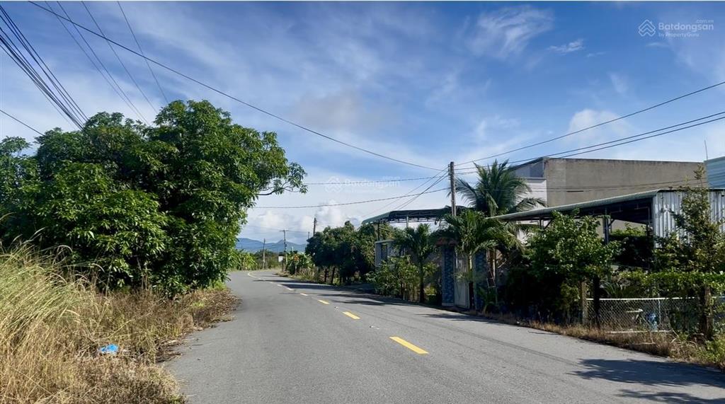 Đất 500m2 sẵn nhãn  làm nhà vườn hết sẩy