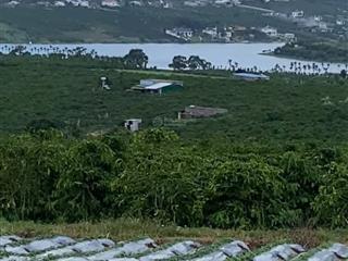 Đất view hồ phúc thọ sãn thổ cư