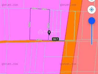 Cam hiệp nam full thổ có xoài thu hoạch giá 2,3 triệu/m2