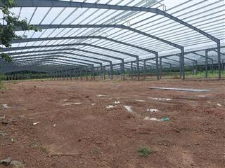 Bán cả đất và 3 xưởng đã xây dựng, có hoàn công giá cực rẽ dáng đầu tư, chỉ 2,2tr/m2