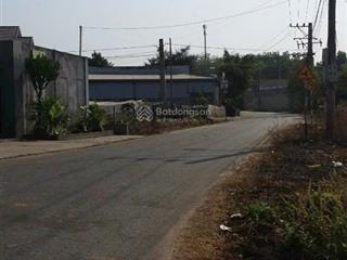 Chủ gửi bán gấp nhà xưởng p. phú chánh, tp tân uyên, bình dương 3.245m2/19ty. shr
