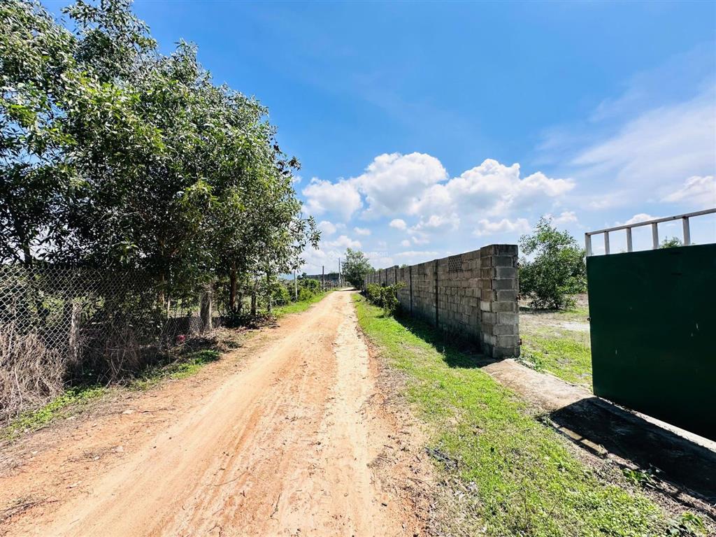 Bán 55m x 22m đất lô 2 hùng vương, tân tiến, lagi 300m2 thổ cư gần biển giá rẻ nhất