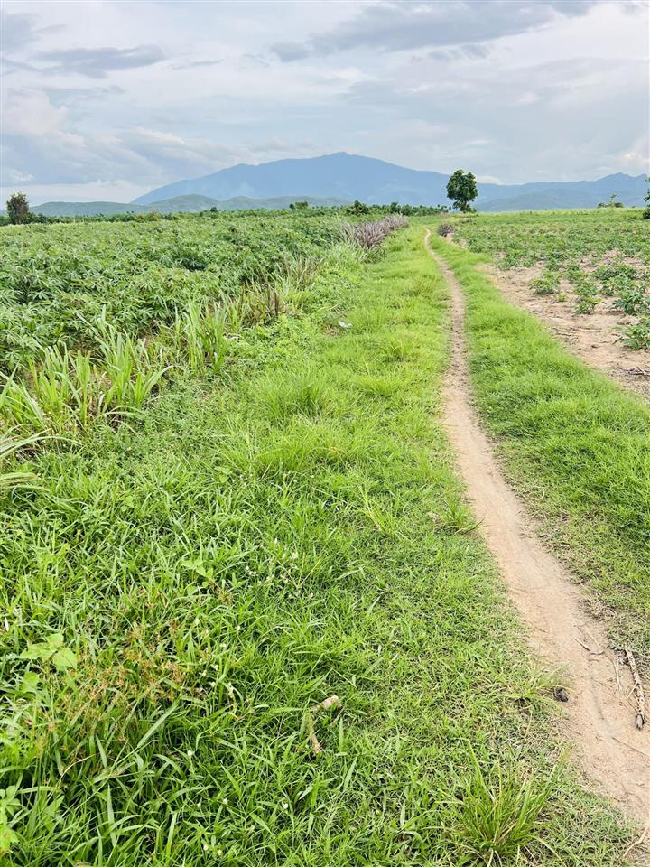 Bán đất vườn 99tr sổ hồng riêng, vuông đẹp