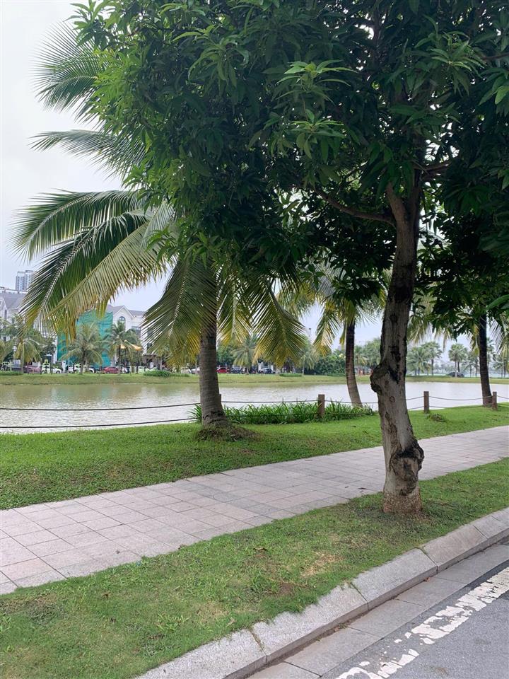 Duy nhất 80 tỷ! biệt thự đơn lập mặt hồ 272m2 mt 14m, kinh doanh 24/7 vinhomes ocean park gia lâm