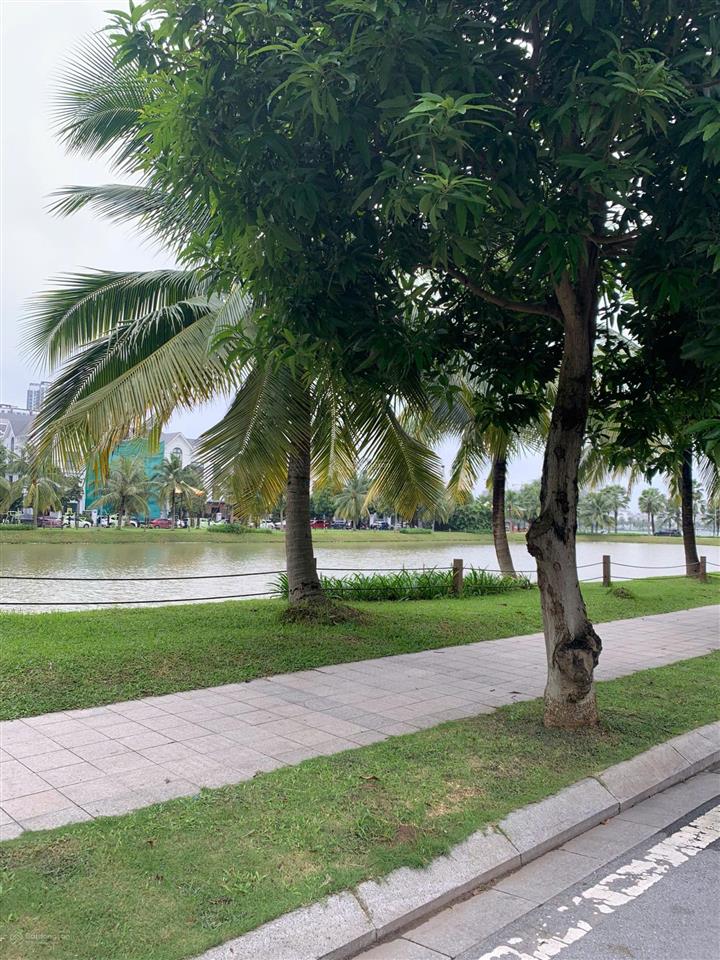 Duy nhất 80 tỷ! biệt thự đơn lập mặt hồ 272m2 mt 14m, kinh doanh 24/7 vinhomes ocean park gia lâm