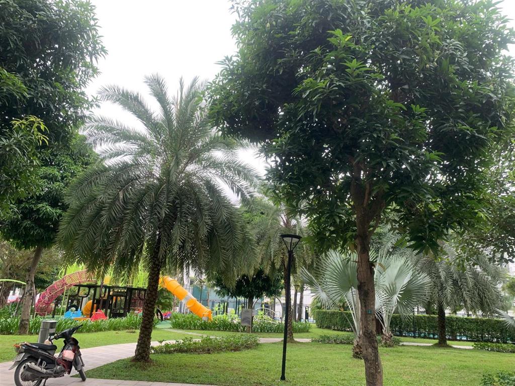 Rẻ nhất 17 tỷ!liền kề sao biển 67,5m2 mặt công viên, bể bơi xây 5 tầng vinhomes ocean park gia lâm