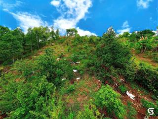 Bán quả đất đồi 6000m² tại tân phú, đồng nai.  0775 107 *** gặp kiên