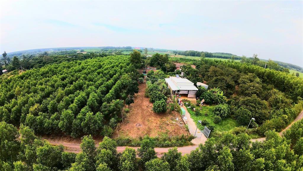 Chính chủ  bán gấp 1.700m² đất cln cẩm mỹ sổ riêng đường xe tải không quy hoạch  giá 3,3tỷ