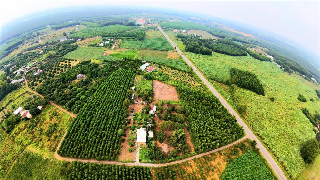 Chính chủ  bán gấp 1.700m² đất cln cẩm mỹ sổ riêng đường xe tải không quy hoạch  giá 3,3tỷ