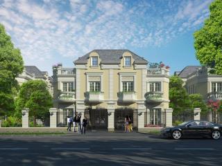 Bán gấp biệt thự song lập 133m2  an lạc green symphony, hướng đông nam mát mẻ, giá đầu tư cực tốt